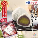 栗入り 和菓子 お祝い 内祝 送料無料【玉島銘菓 良寛てまり 4個入】ホワイトデー 菓子 香典返し 手土産 お菓子 個包装 結婚 出産 入学 新築 内祝い 快気...