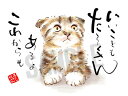 スミレとぉちゃんのメッセージはがき|いいこともた〜くさん・・・葉書 和製はがき ポストカード メッセージカード 癒し 和み 言葉 絵プチギフト プチプレゼント ...