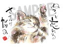 スミレとぉちゃんのメッセージはがき|寝ると忘れる・・・葉書 和製はがき ポストカード メッセージカード 癒し 和み 言葉 絵プチギフト プチプレゼント ギフト ...