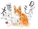 スミレとぉちゃんのメッセージはがき|見えるものより・・・葉書 和製はがき ポストカード メッセージカード 癒し 和み 言葉 絵プチギフト プチプレゼント ギフト...