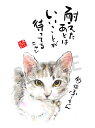 モニタリング出演 釣り猫ふーちゃんシ 耐えた後は...【メール便対応】スミレとぉちゃんのメッセージはがき プチギフト プチプレゼント ギフト プレゼント 販促 ...