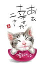 スミレとぉちゃんのメッセージはがき 猫シリーズ | あぁ幸せ 葉書 和製はがき ポストカード メッセージカード 癒し 和み 言葉 絵プチギフト プチプレゼント ...
