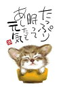 スミレとぉちゃんのメッセージはがき 猫シリーズ | たっぷり眠って 葉書 和製はがき ポストカード メッセージカード 癒し 和み 言葉 絵プチギフト プチプレゼ...