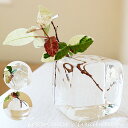 耐熱ガラス作家 平井宏明 作品 ガラス 一輪挿し icecubevase 【Mサイズ】プレゼント ガラス インテリア 花瓶 花びん 花器 耐熱ガラス 四角 丸 六角形 フラワースタンド フラワーポット おしゃれ きれい 玄関 小窓 トイレ キッチン 飾り ギフト 誕生日 女性 倉敷 アート(3)