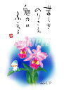 スミレとぉちゃんのメッセージはがき 花シリーズ | カトレア葉書 和製はがき ポストカード メッセージカード 癒し 和み 言葉 絵プチギフト プチプレゼント ギ...