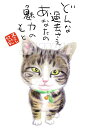 スミレとぉちゃんのメッセージはがき 猫シリーズ | どんな過去さえ葉書 和製はがき ポストカード メッセージカード 癒し 和み 言葉 絵プチギフト プチプレゼン...