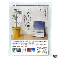 楽天市場 日めくり カレンダー 色紙 寄せ書き 卒業 退職 転職 転勤 31人書ける のし紙付き かわいい おしゃれ ネコポスok アクセサリーと雑貨のお店 Ecru 楽天市場 日めくり カレンダー 色紙 寄せ書き 卒業 退職 転職 転勤 31人書ける のし紙付き かわいい おしゃれ ネコポスok アクセサリーと雑貨のお店 Ecru
