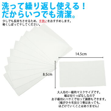 マスク フィルター 抗菌 銀イオン 洗える シート 国産 日本製 10枚入り 繰り返し使える 取り替え 制菌 インナー パット 防臭
