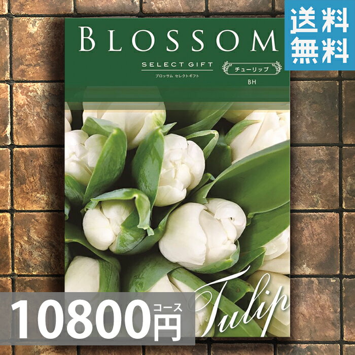 選べるカタログギフト　10800Hコース【送料無料】△△△【出産内祝い，結婚，快気祝い，新築内祝い， ...