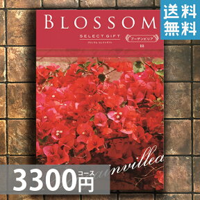 選べるカタログギフト　3300Bコース【送料無料】【出産内祝い，結婚，快気祝い，新築内祝い，法要引き出物，香典返し，お返し，ギフト，香典返し】【メール便送料無料】プレゼント 贈り物