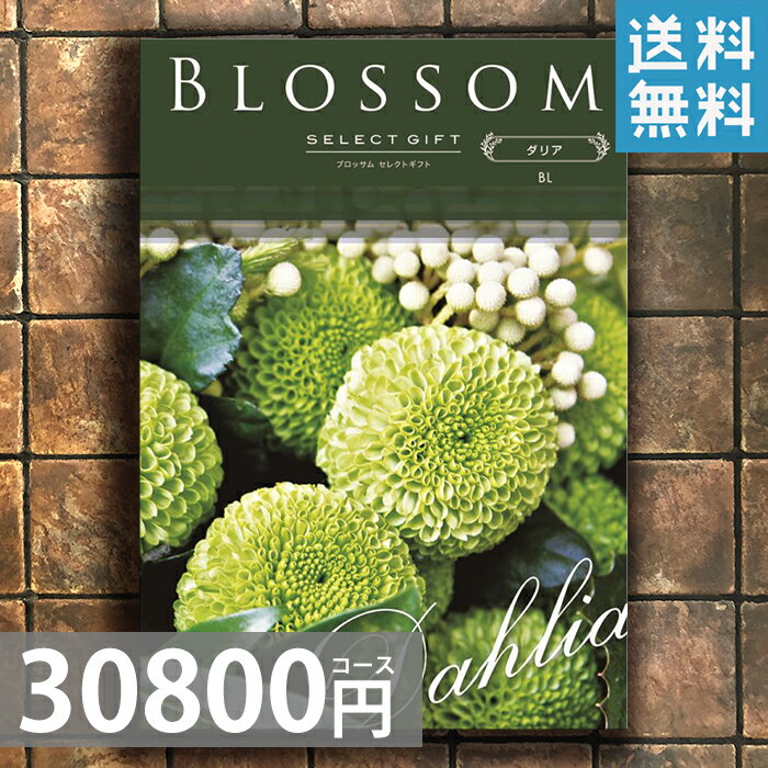 選べるカタログギフト　30800：Lコース【送料無料】【出産内祝い，結婚，快気祝い，新築内祝い，法要引き出物，香典返し，お返し，ギフト】プレゼント 贈り物