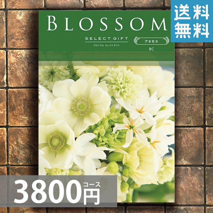 選べるカタログギフト　3800Cコース【選べるカタログ30％OFF】【出産内祝い カタログギフト】【快気祝】【新築プレゼントお歳暮】【法要】【出産内祝い，結婚，快気祝い，新築内祝い，法要引き出物，香典返し，お返し，ギフト】【メール便送料無料】