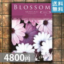 選べるカタログギフト 4800Eコース【送料無料】【出産内祝い，結婚，快気祝い，新築内祝い，法要引き出物，香典返し，お返し，ギフト，出産内祝い】【メール便送料無料】プレゼント 贈り物