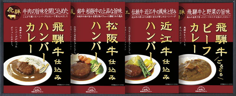 飛騨高山ファクトリー 【松阪牛・近江牛・飛騨牛仕込みハンバーグ＆カレー詰合せ】(HBK-28)[e2 ...