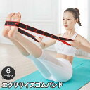 エクササイズバンド トレーニングチューブ ゴムバンド トレーニングベルト ループ 連続 ゴム 数字付き ヨガバンド ダンス 柔軟トレーニング