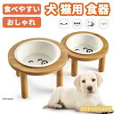えさ皿 猫 エサ 皿 食器 犬 餌入れ フードボウル ごはん皿 お皿 食べやすい 陶器 ペット 猫用 犬用 食器台 アイアンスタンド シングル