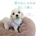 【ポイント10倍UP SALE売り尽くし】うさぎ メッシュフリル 透かし かわいい 小型犬 散歩 お出かけ ホワイト ラベンダー ピンク レース 晴れ着 春 夏...