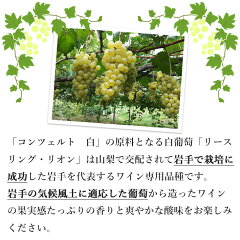 【初回限定】【送料込】エーデルワインFIRSTコンツェルト辛口ハーフ2本セット