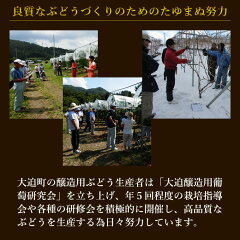 ハヤチネゼーレ努力