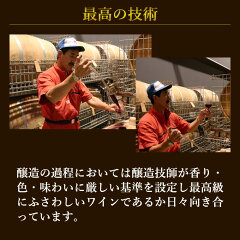 ハヤチネゼーレ最高の技術