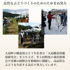 大迫メルロー2015