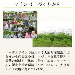 大迫メルロー2015
