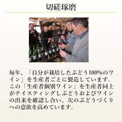 大迫メルロー2015