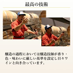 大迫メルロー2015