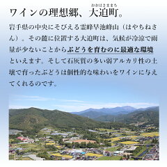 【送料無料】コンツェルト辛口ハーフ2本セットワインセットワイン赤白ライトボディ飲みやすいエーデルワイン日本ワイン