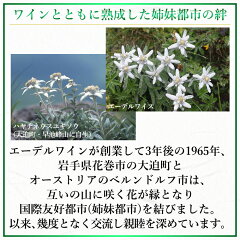 ワインとともに成熟した姉妹都市の絆