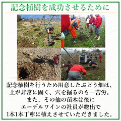 記念植樹を成功させるために