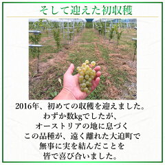 そして迎えた初収穫