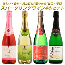 【送料無料】スパークリングワイン 飲み比べ4本セット(720ml×4本) 甘口・辛口 月のセレナーデ ロゼSP/ナイアガラSP/五月長根リースリングSP/星の果樹園シードルドライ|日本ワイン エーデルワイン 岩手県産|お中元・ホームパーティー 敬老の日