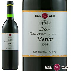 シルバー大迫メルロー2016