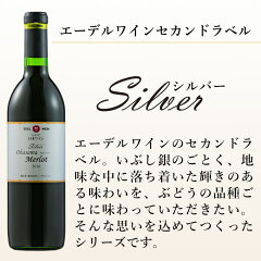 シルバー大迫メルロー2016
