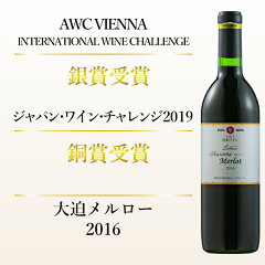 シルバー大迫メルロー2016