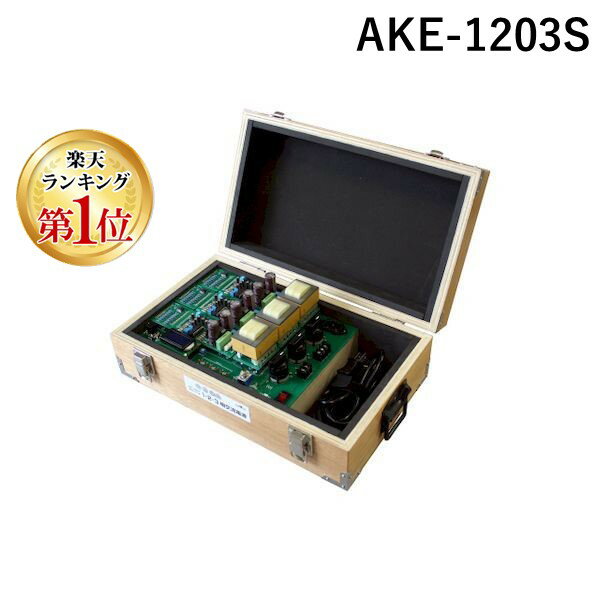 【楽天ランキング1位獲得】アドウィン ADWIN AKE-1203S 直送 代引不可・他メーカー同梱不可 AC100Vからつくる1・2・3相交流電源 AKE1203S【送料無料】