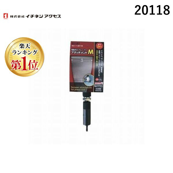 ڳŷ󥭥1̳ۥͥ󥢥 쥤ͥMTM 20118 ưѥ졼ѡ åM