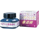 呉竹 BB102-5 メタリック書道液銀 50ml BB1025 墨汁 Kuretake 墨液 墨滴