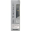 呉竹 DAM4 くれ竹万年毛筆本漆・夢銀河 替穂首 万年毛筆本漆替穂先 Kuretake 筆ペン 替穂首DAM4 夢銀河用 万年筆 ギフト 専用 くれ竹万年毛筆...