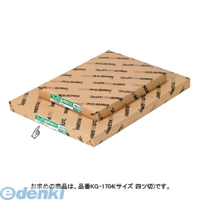 (LINEクーポン有)翌日出荷 文運堂 KG-1704 コッカ画用紙NO．1704　100枚入 KG1704