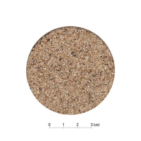 ���ɡ� SUDO S-8816 �������κ� �ܥȥॵ��� 800g S8816