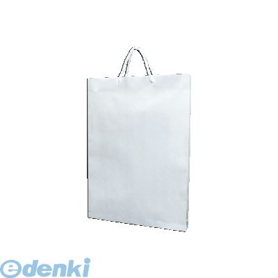 菅公工業 ベ586 額縁入れバッグ B4 白 額縁手提袋 うずまき 手提げバッグ 官公 額縁入れ手提げバック サラシ