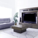 直送・代引不可ローテーブル センターテーブル 約幅80×奥行80×高さ37cm スライドレール使用 リビング ダイニング インテリア家具【代引不可】別商品の同時...