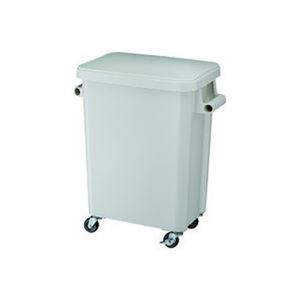 直送・代引不可 リス 厨房用キャスターペール45L グレー GGYK001 別商品の同時注文不可