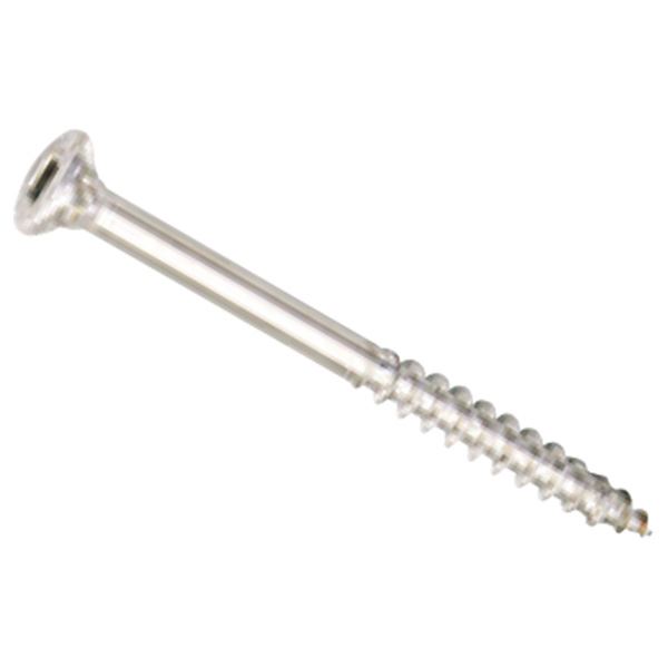 直送・代引不可 水上 ステンレスウッドデッキビス 65mm パシペート [141本入] 別商品の同時注文不可