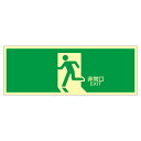 直送・代引不可 高輝度蓄光避難口標識 非常口 蓄光LE-1804【代引不可】 別商品の同時注文不可