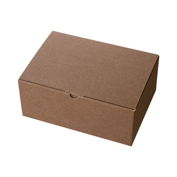 ľԲ(ޤȤ) إå ̵ϥ֥饦󥮥եȥܥå W263D190H110mm MBR-GB2 1ѥå(10) ڡ3åȡ̾ʤƱ...