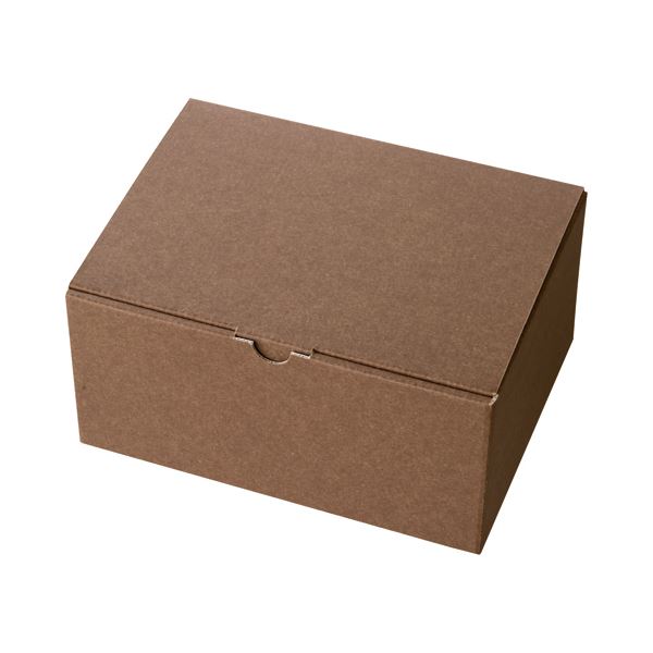 直送・代引不可(まとめ) ヘッズ 無地ブラウンギフトボックス W223×D170×H110mm MBR-GB3 1パック(10枚) 【×3セット】別商品の同時注...