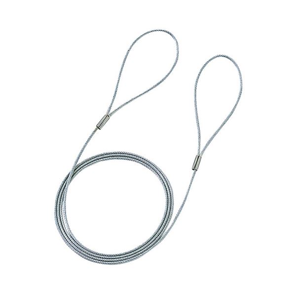 直送・代引不可 (まとめ)サンワサプライ eセキュリティ(ワイヤー、1.0m・1.6mm) SLE-3W【×10セット】 別商品の同時注文不可